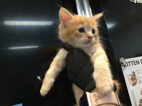 A1919359