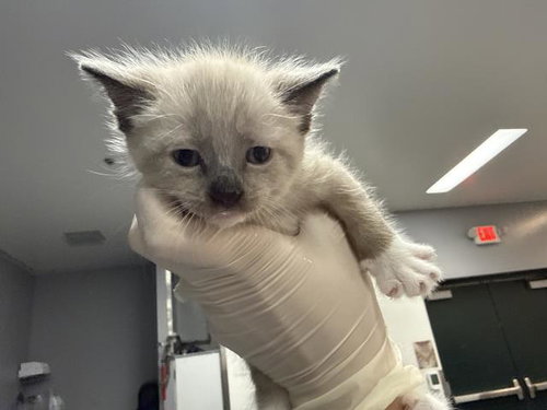 A1925084