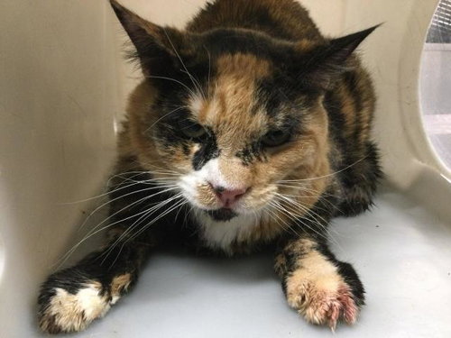 A1922787