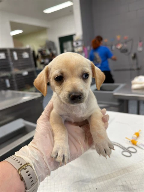 Unknown