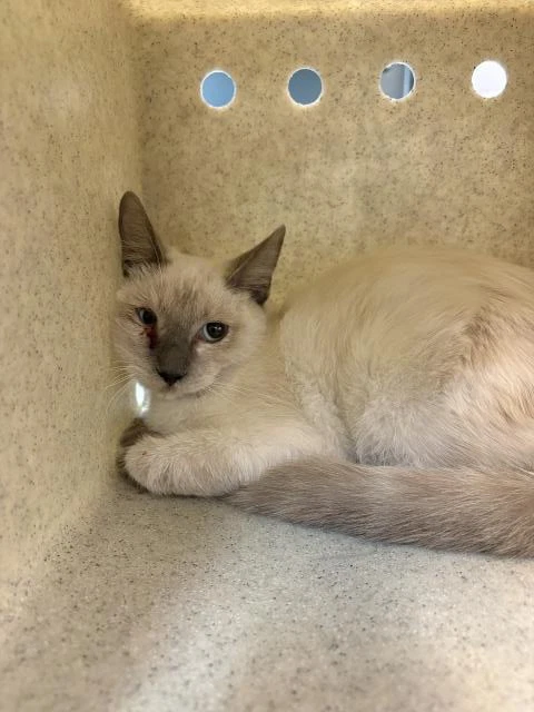 Tina