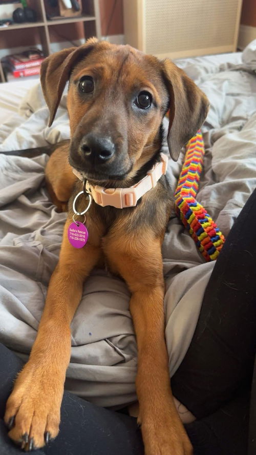 Winnie