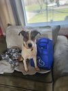 Buster