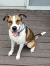 Buster