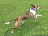 Buster