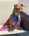 Maybelle