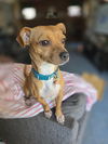 Maybelle