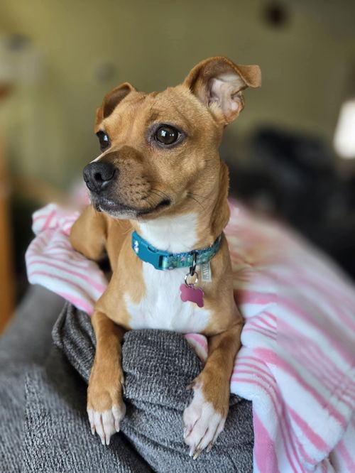 Maybelle