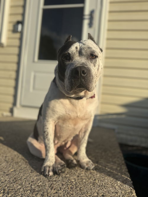 Barbara