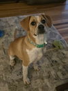 Charlie