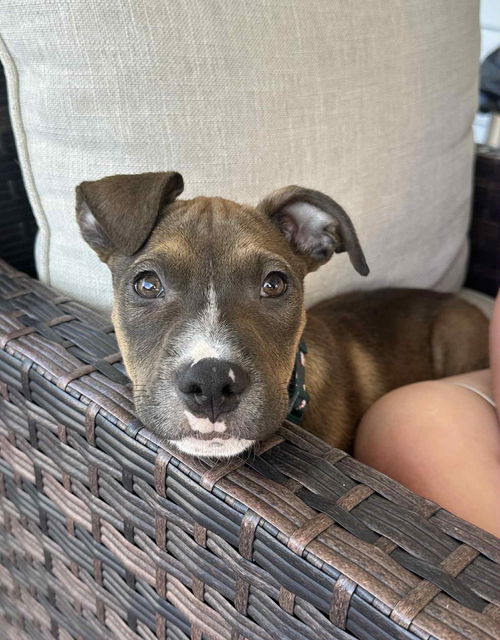 Dallas