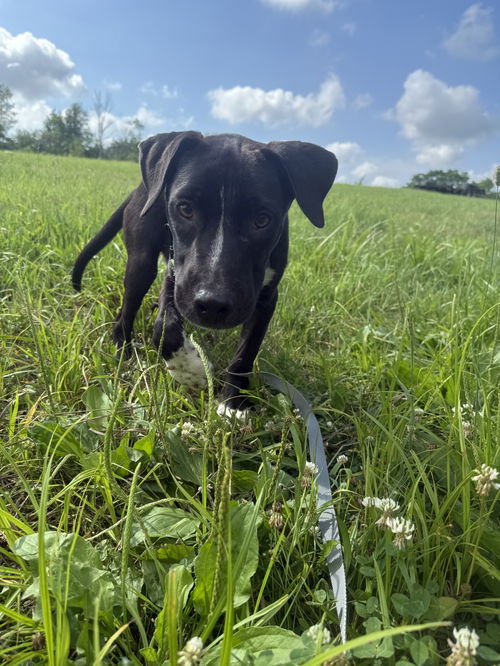 Zuko