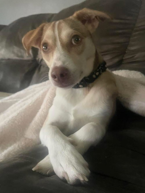 Ellie