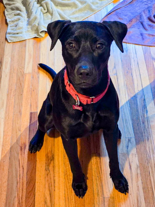 Maggie
