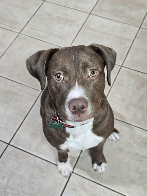 Max