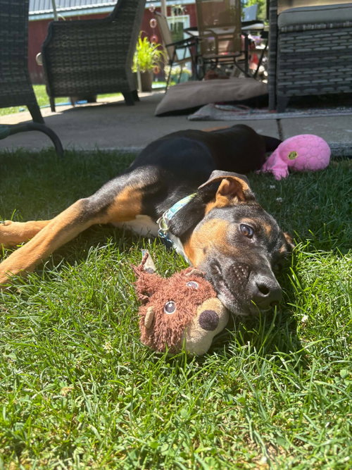 Photo 2 of Lacie