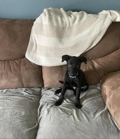Cooper
