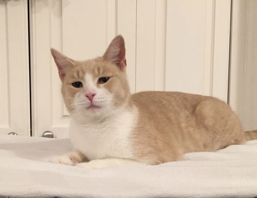 Sebastian