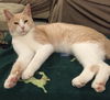 Sebastian
