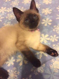 Chloe