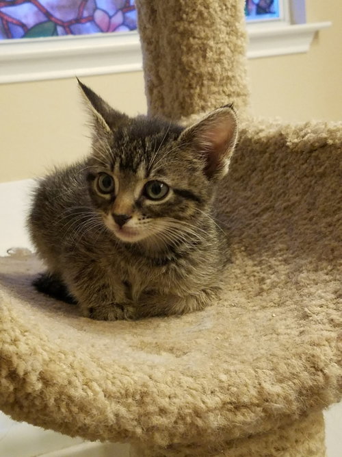 Lucy