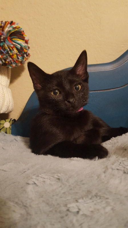 Salem