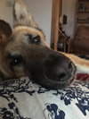 Lola