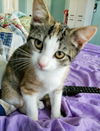 Sally
