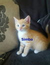Simba