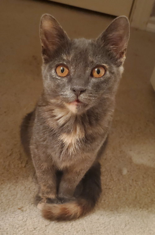 Chloe