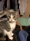 Lila