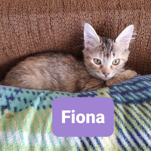 Fiona