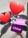 Chloe