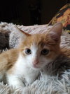 Benny