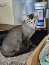 Edith
