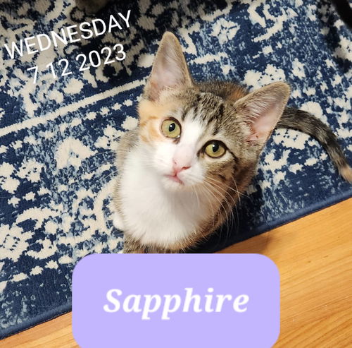 Sapphire