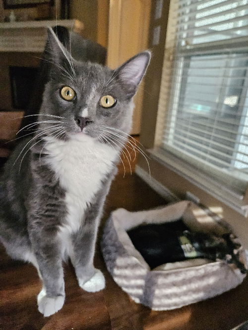Sebastian
