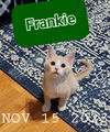 Frankenstein