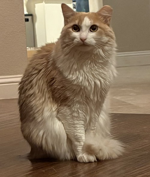 Skye