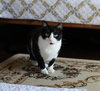 Lucy