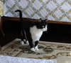Lucy