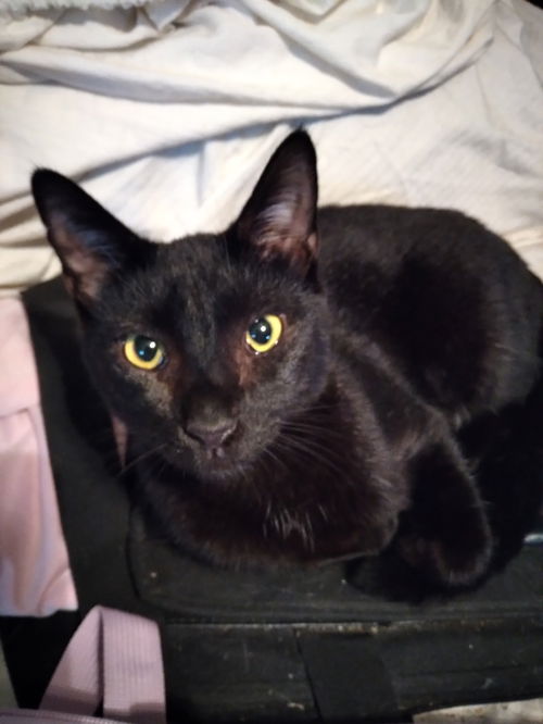 Percy