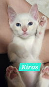 Kiros