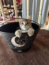 Mulligan
