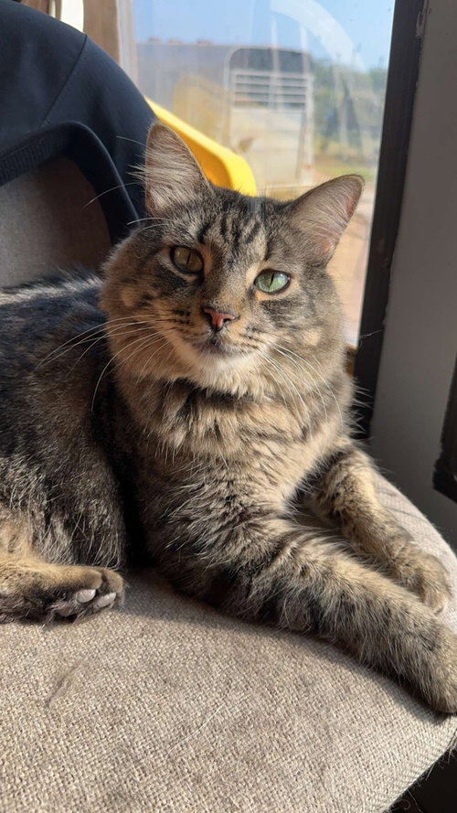 Gus