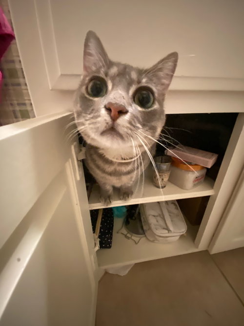 Missy