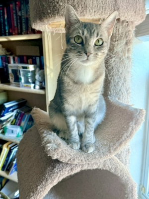 Jolene, photo 2