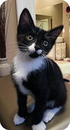 Sebastian