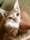 Colby