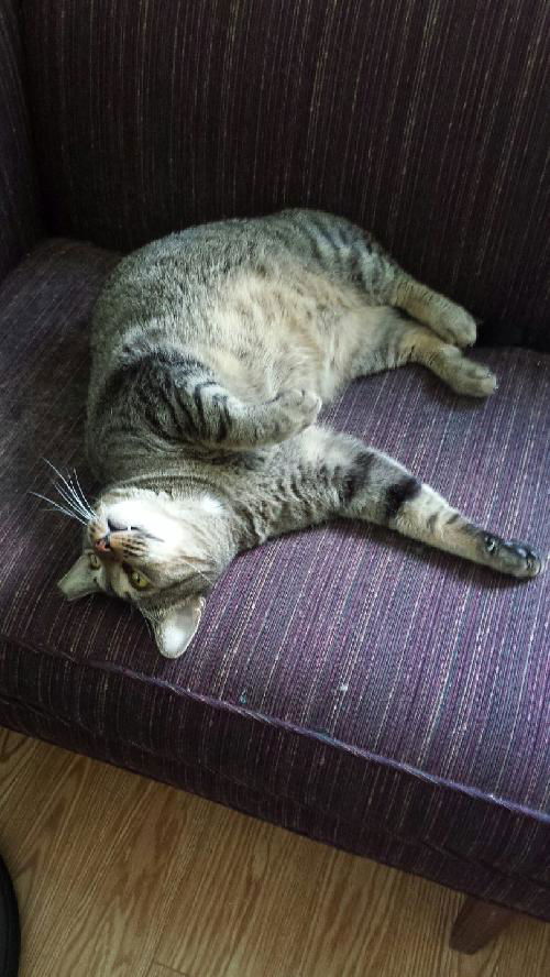 Sammy